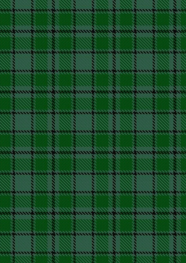 Campbell Simpson Tartan Fabric