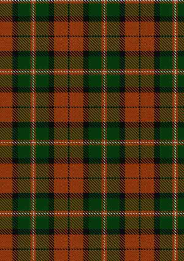 Celtic Combat Tartan Fabric