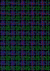  Denholm Tartan Fabric