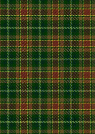  Dixon Clyde Tartan Fabric