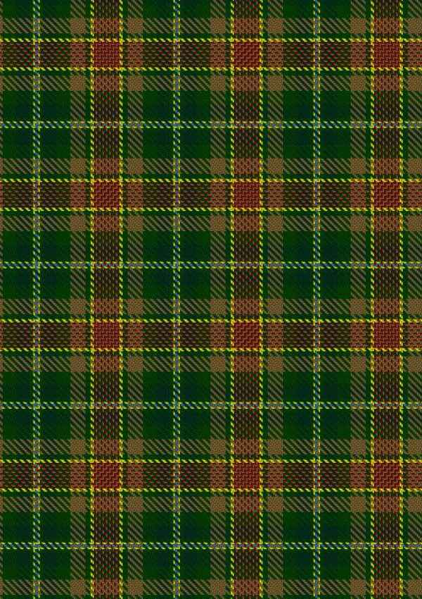  Dixon Clyde Tartan Fabric