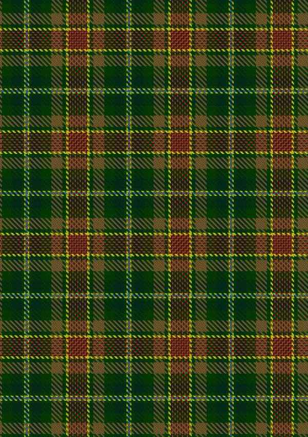  Dixon Clyde Tartan Fabric