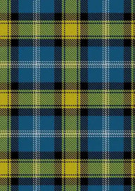 Doddie Weir Tartan Fabric