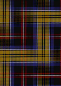  Dublin County Crest Range Tartan Fabric