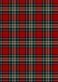  Dunne Jordan Tartan Fabric