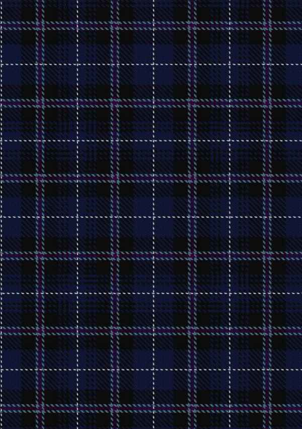  Edgar Tartan Fabric