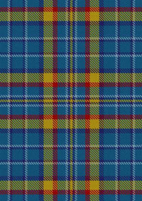  Healy Tartan Fabric