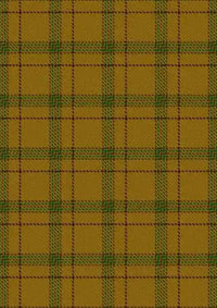 Houston Tartan Fabric