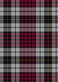  Little Dress Tartan Fabric