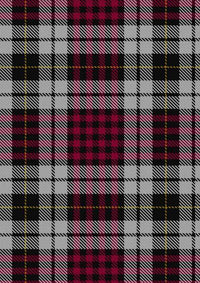  Little Dress Tartan Fabric