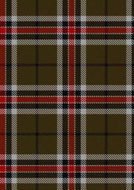 Loch Ness Tartan Fabric