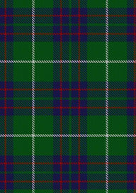 MacIntyre Hunting Tartan Fabric