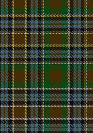 Massey Tartan Fabric