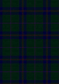  McAndrew B Tartan Fabric