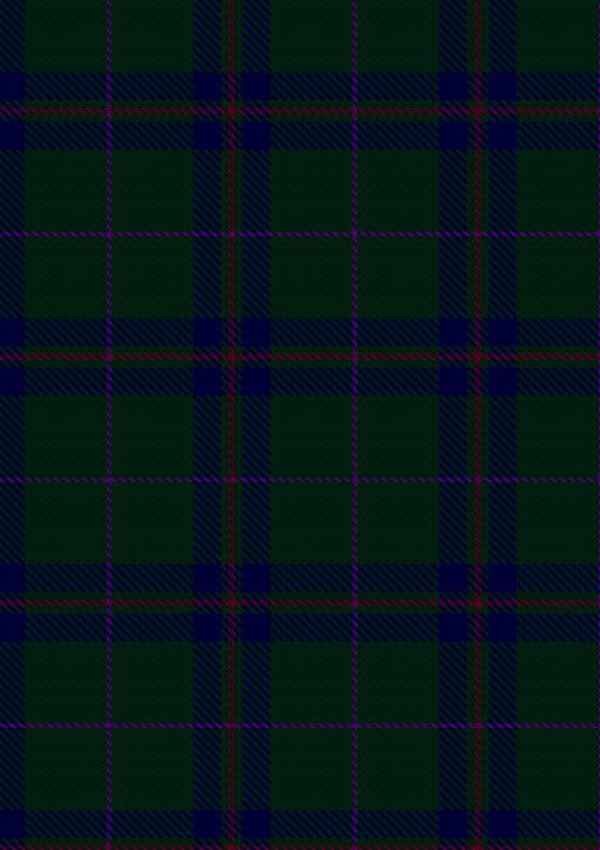  McAndrew B Tartan Fabric