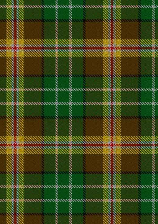 McShane Tartan Fabric