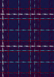  Pride Of Fife Tartan Fabric