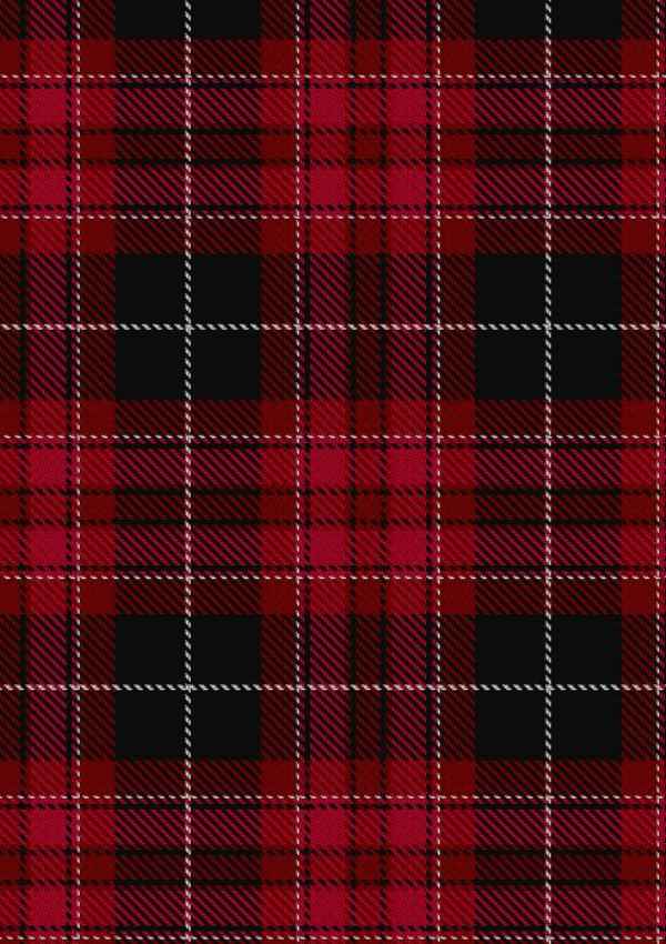  Pride Of Wales Tartan Fabric