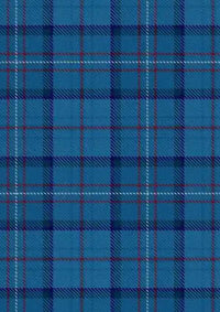 Raf Tartan Fabric