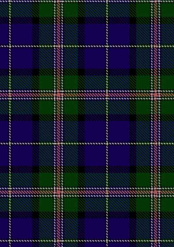 Robson Steve Tartan Fabric