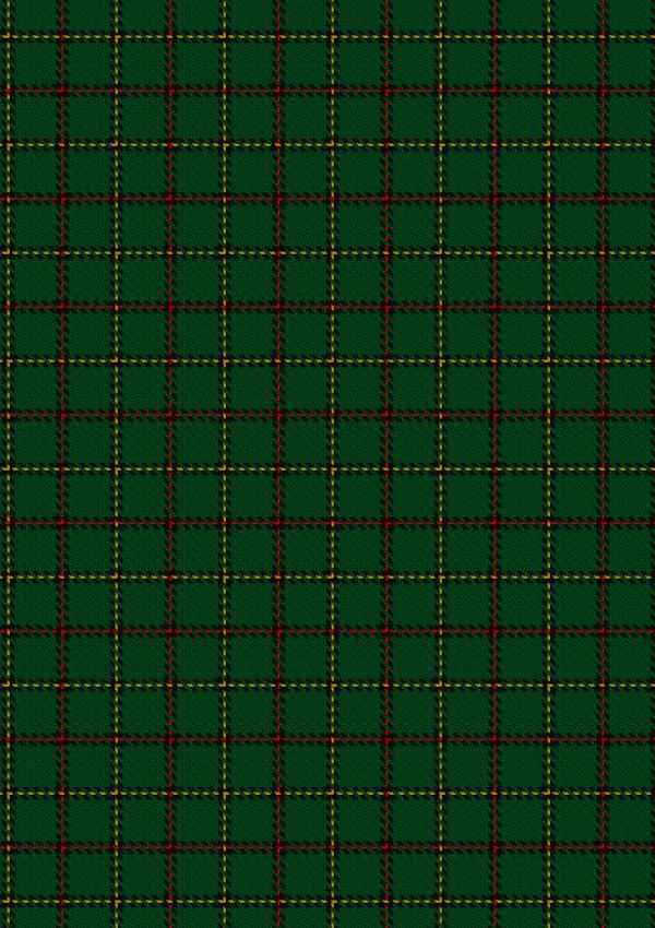  Skene Hunting Tartan Fabric