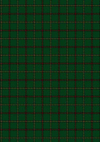  Skene Hunting Tartan Fabric