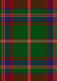  Somerville Tartan Fabric