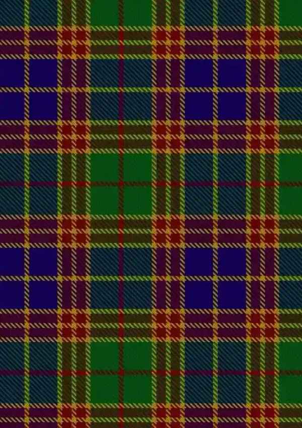 Stevenson Tartan Fabric