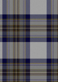 Stewart Dress Blue Tartan Fabric