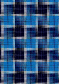  Strathclyde Tartan Fabric