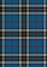 thomson-dress-blue-tartan-fabric
