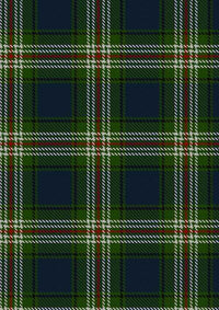  Todd Tartan Fabric