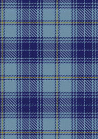  Traynor Tartan Fabric