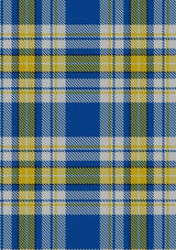 ukraine-forever-tartan-fabric