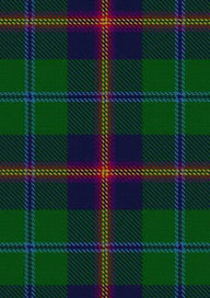 Young Tartan Fabric